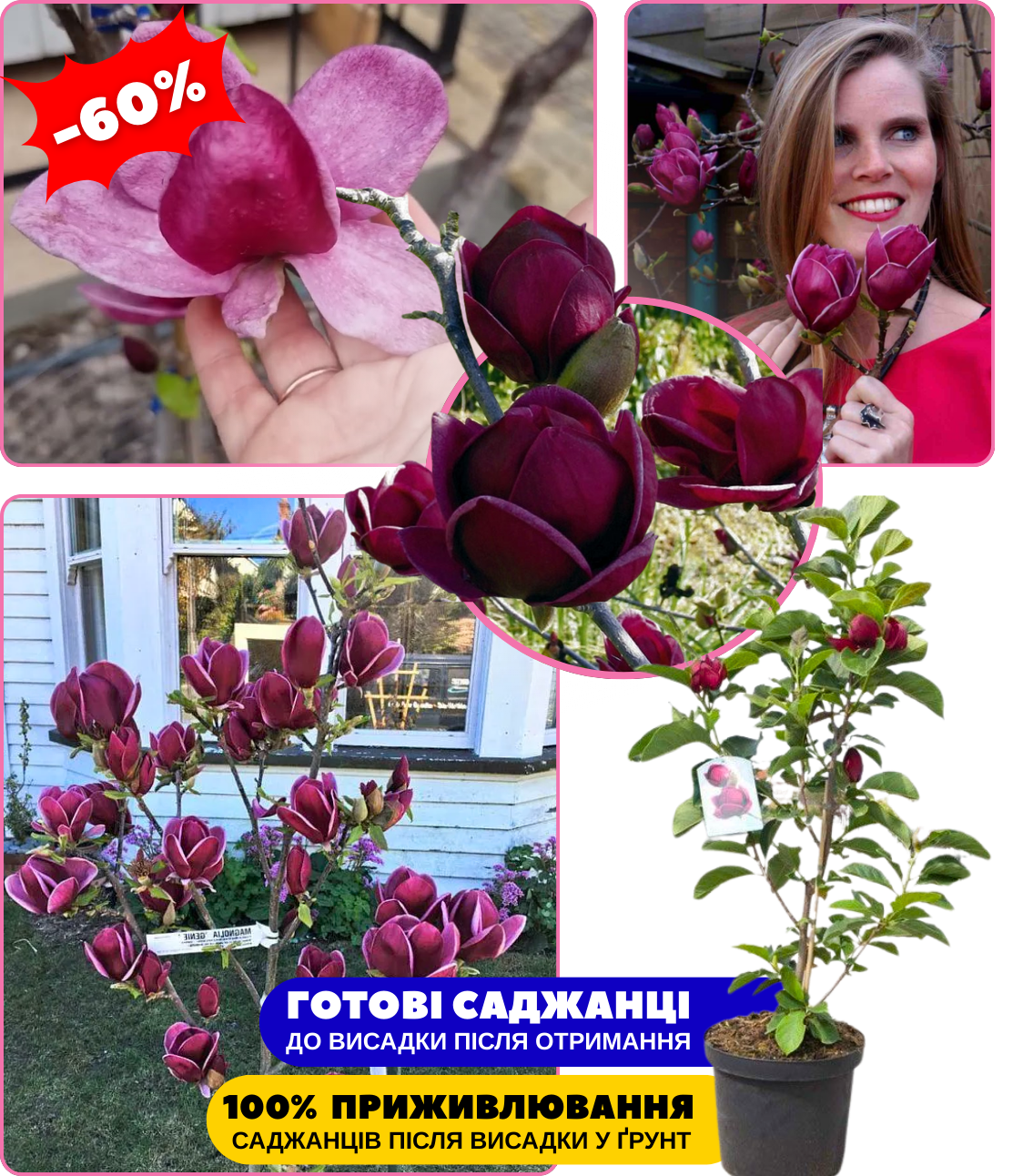 Заголовок